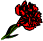 red carnation