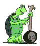 Singing Turtle