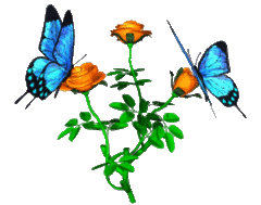 Image result for animated butterfly clipart free